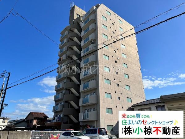 シャトー鳥居松２　外観