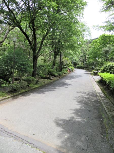 箱根ヴィレッジ　前面道路