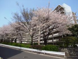 東十条サンハイツの外観